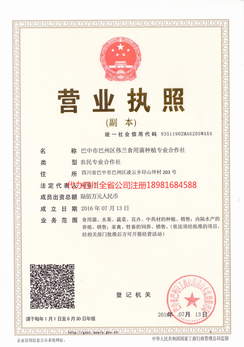 泉州泉州伟兰食用菌种植专业合作社